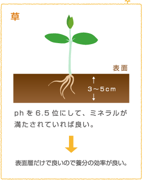 草 phを6.5位にして、ミネラルが満たされていれば良い。表面層だけで良いので養分の効率が良い。