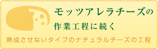 モッツアレラチーズの作業工程に続く