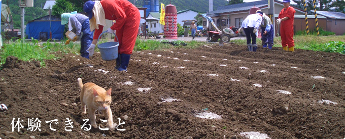 体験できること